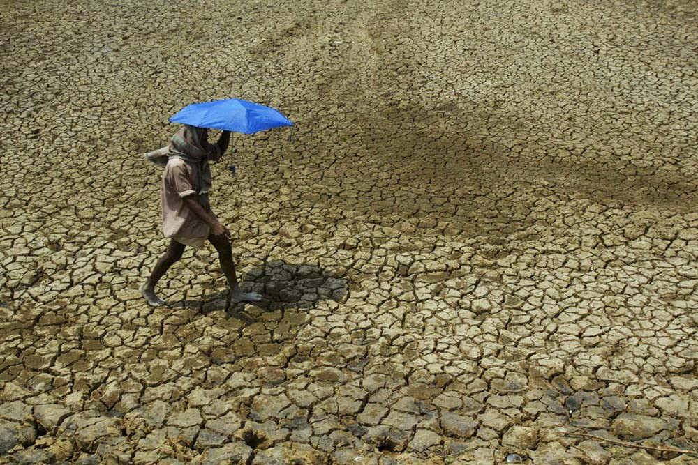 Stage set for conflict at COP28 with mixed response to outcome of key climate talks